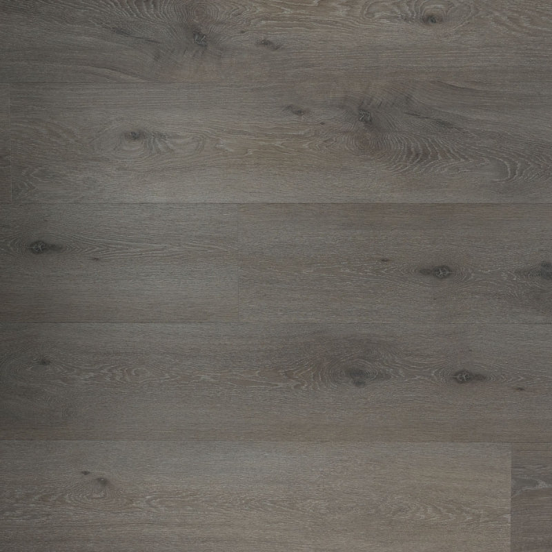 Douwes Dekker - Ambitieus Riante Plank - Click