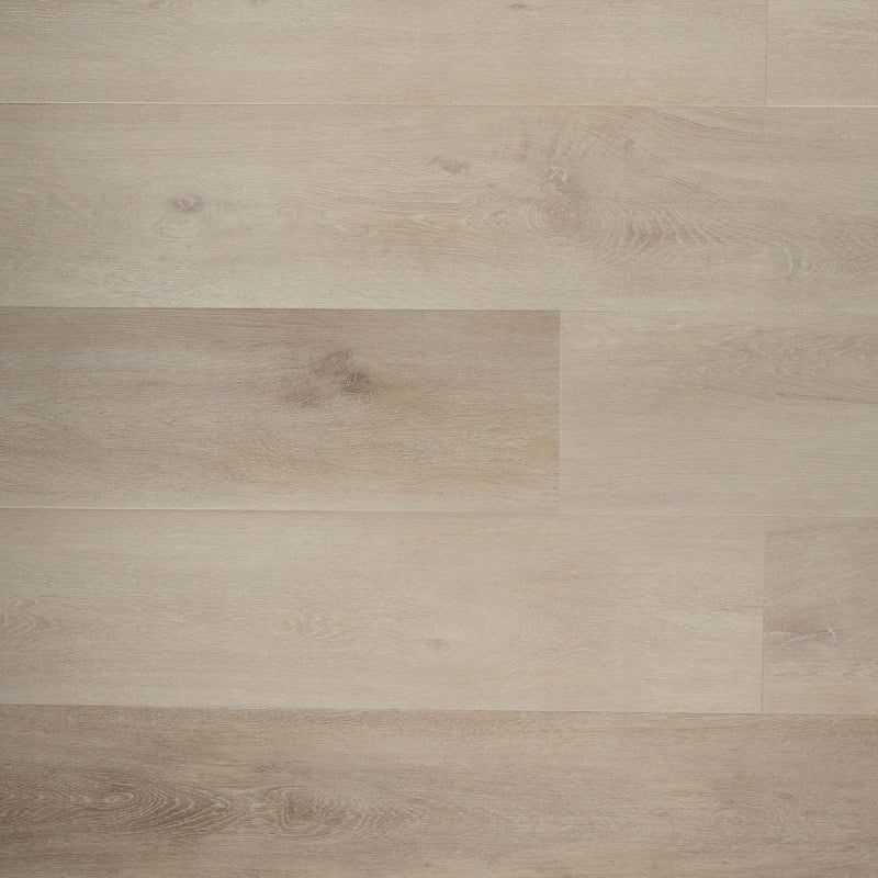 Douwes Dekker - Ambitieus Riante Plank - Dryback