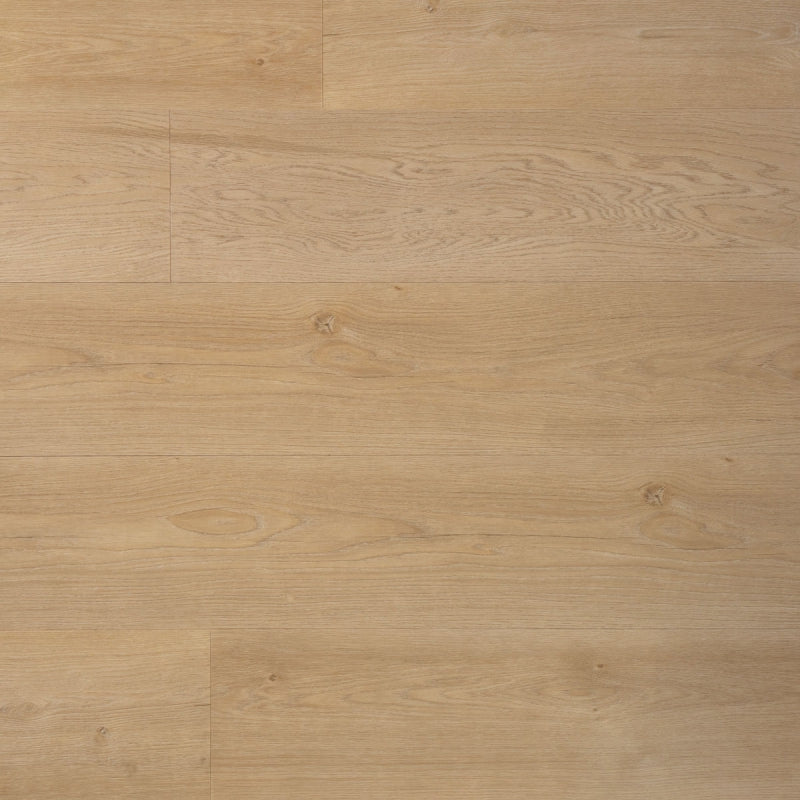 Douwes Dekker - Ambitieus Riante Plank - Dryback