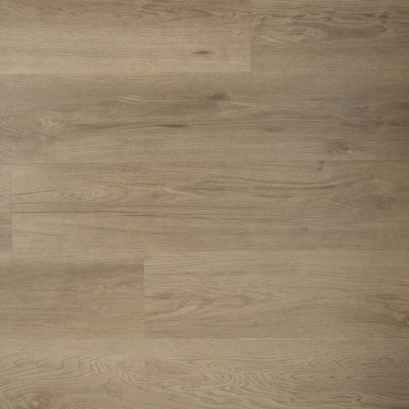 Douwes Dekker - Ambitieus Riante Plank - Click