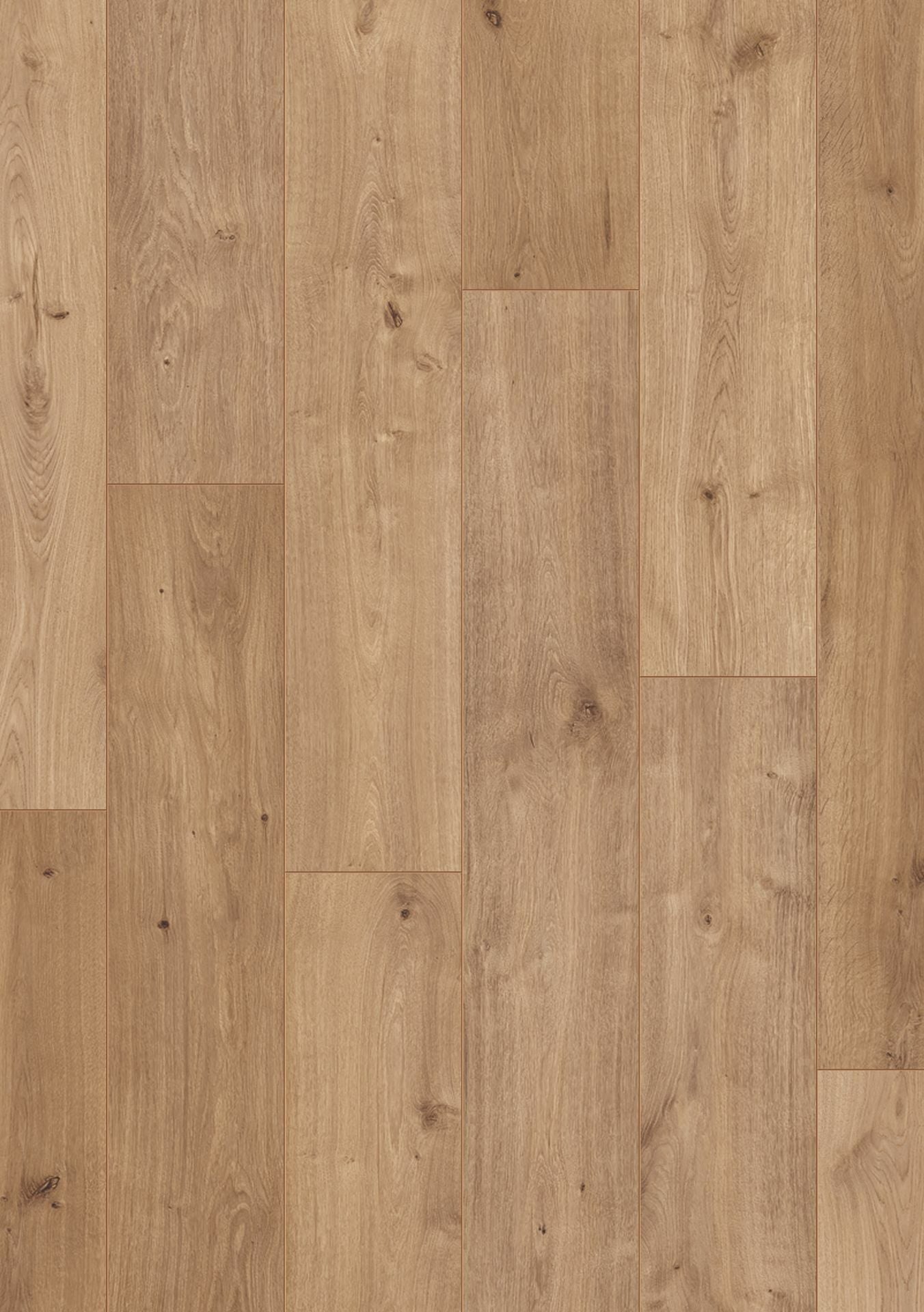 Beautifloor - Laminaat - Ardennen - 4009070 - Bertrix