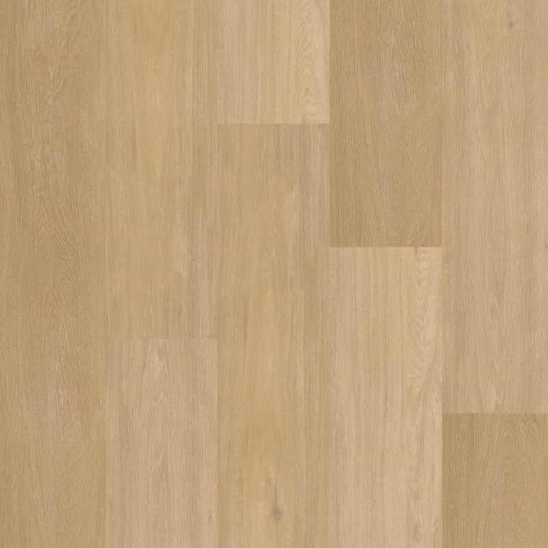 Therdex - Loose Lay - LL10241