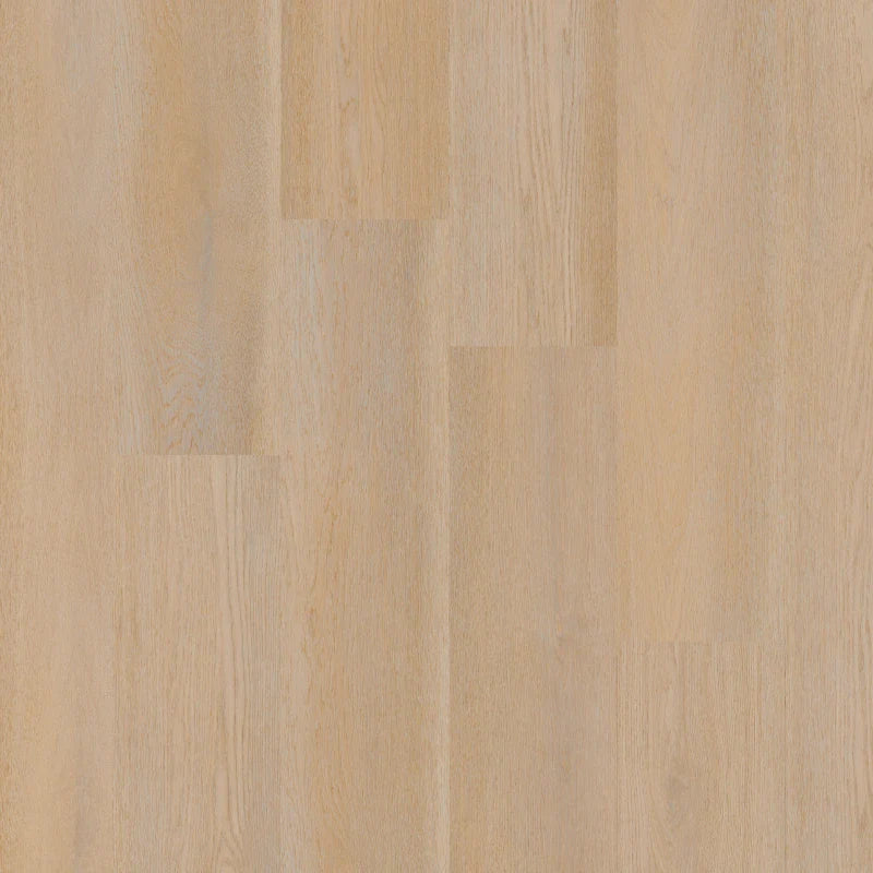 Therdex - Premier Serie - 15080 - Dryback