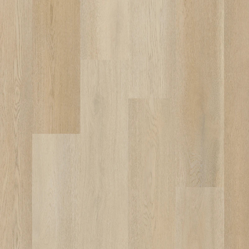 Therdex - Premier Serie - 15082 - Dryback