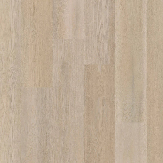 Therdex - Premier Serie - 15083- Dryback