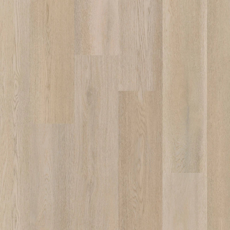 Therdex - Premium Serie - C15083 - Click