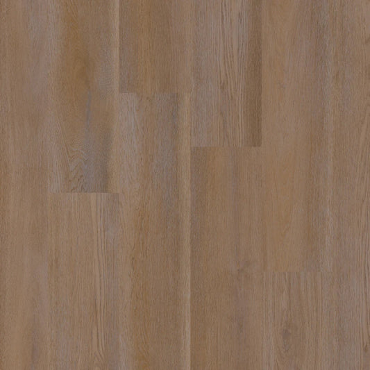 Therdex - Premier Serie - 15085 - Dryback