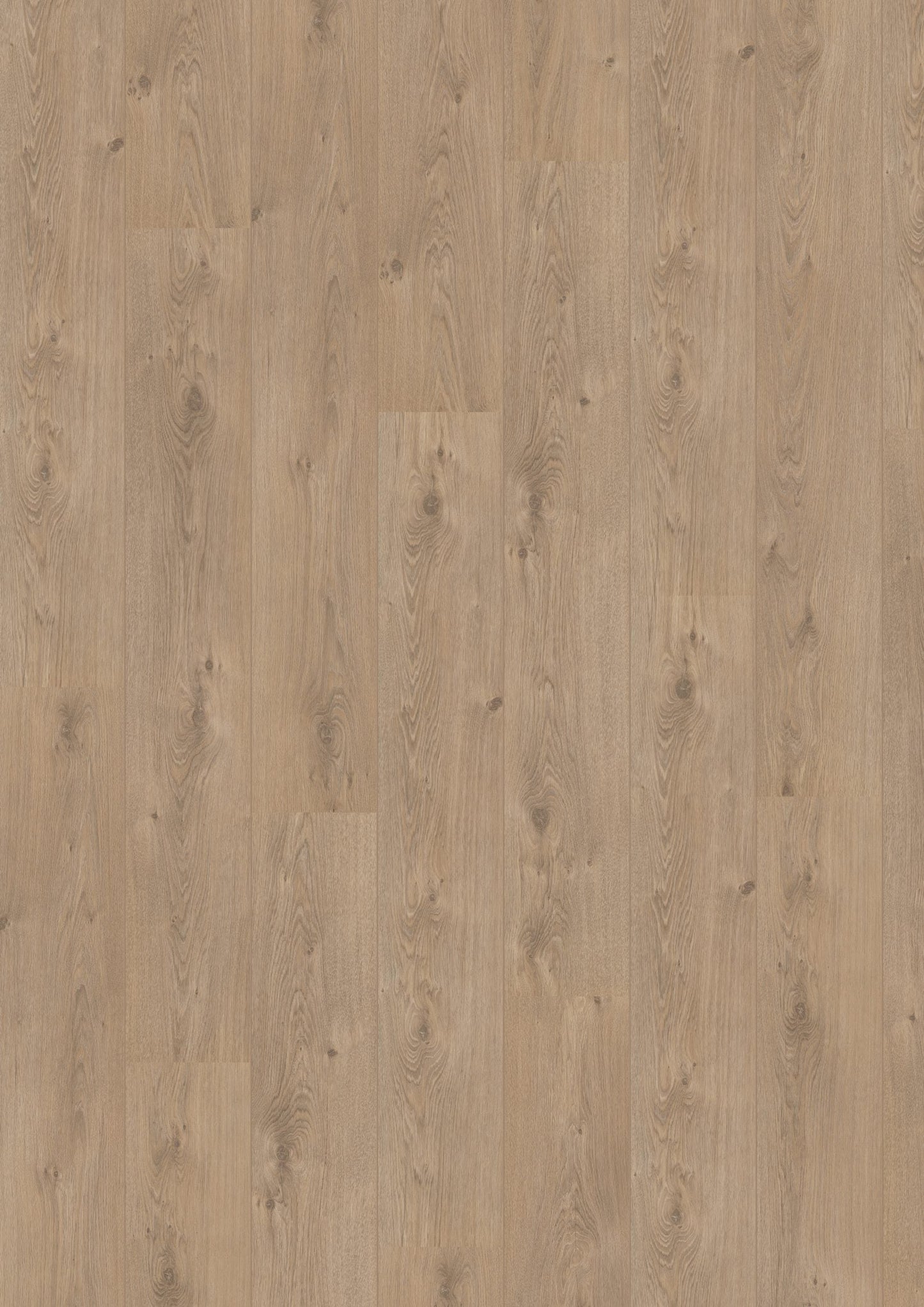 Hoomline - Laminaat - Royal V2 Aquaprotect - Marche 583