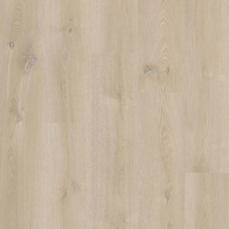 Therdex - Xstralong Serie - 18070 - Dryback