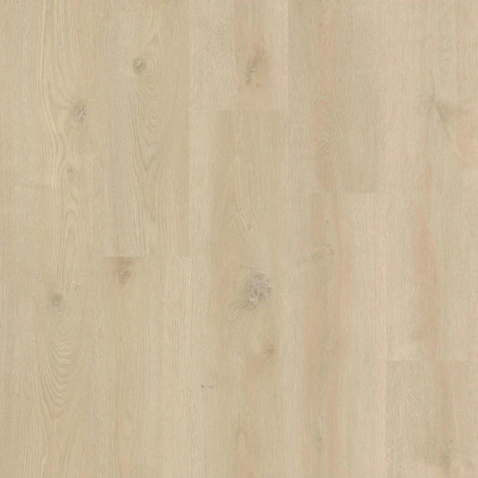 Therdex - Xstralong Serie - 18080 - Dryback