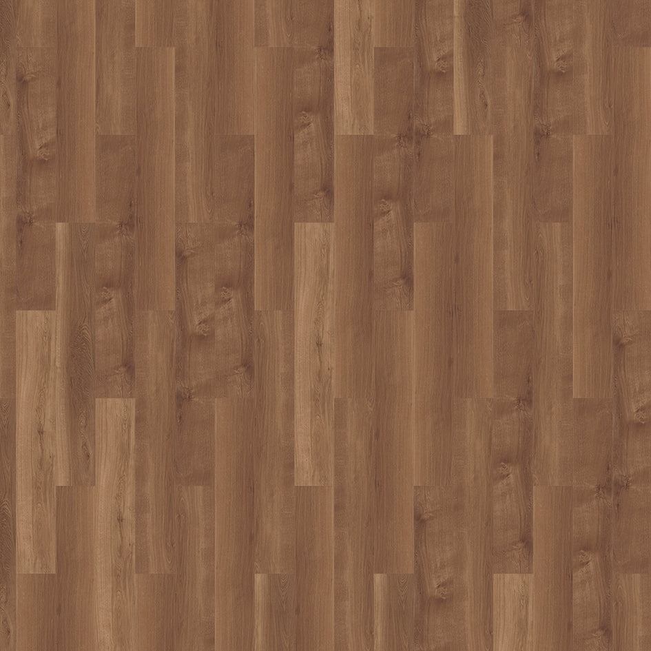 Mflor - Broad Leaf - Dryback