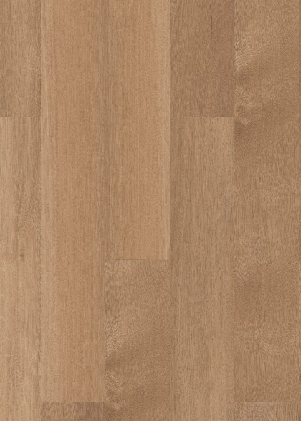 Mflor - Broad Leaf - Dryback