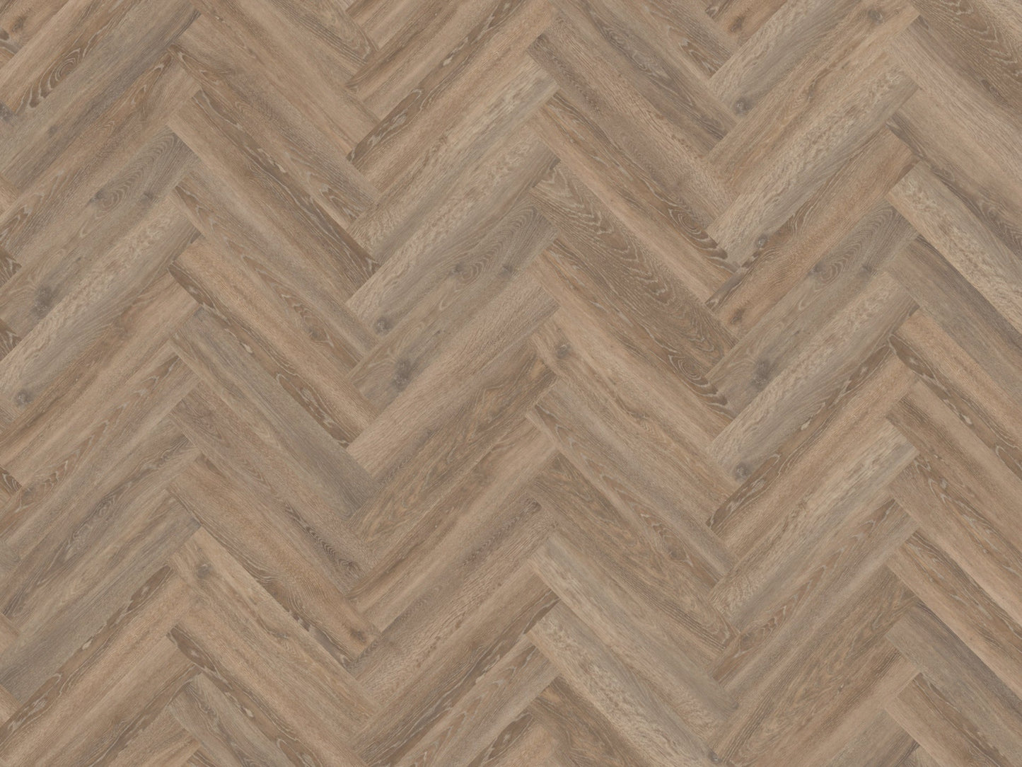 Mflor - Parva Authentic Oak XL - 46413 - Calabria - Dryback