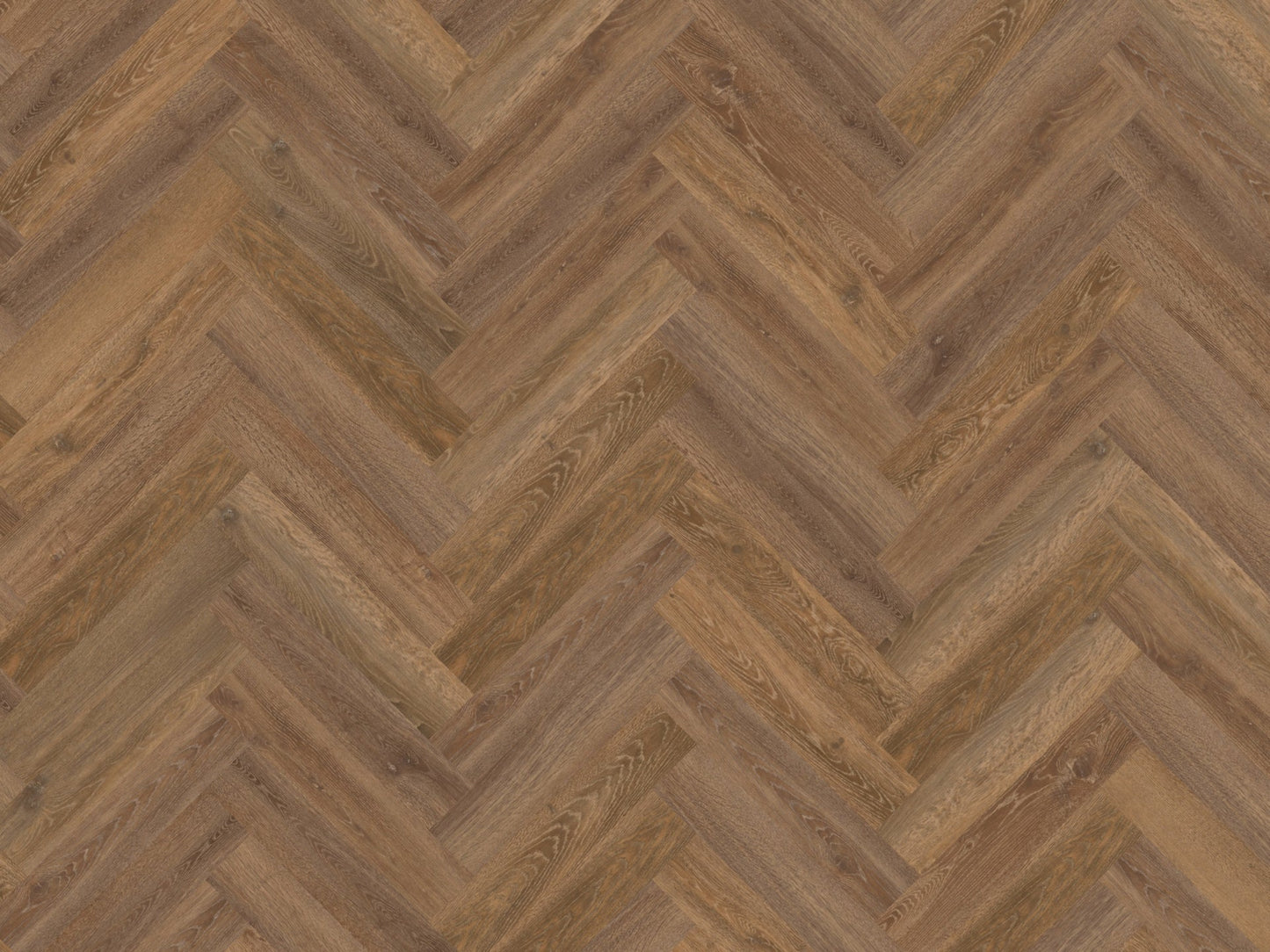 Mflor - Parva Authentic Oak XL - 46416 - Liguria - Dryback