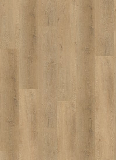Gelasta - Vario - Dryback