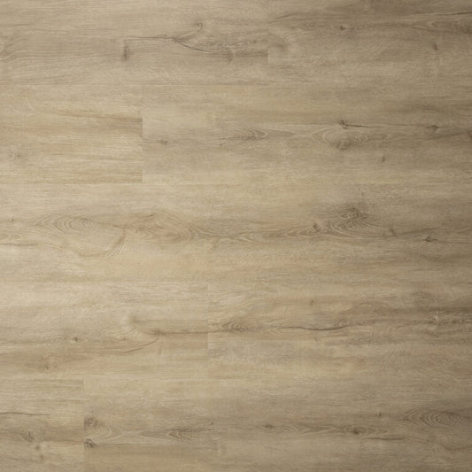 Sense - Serie P - 600 - Dyback