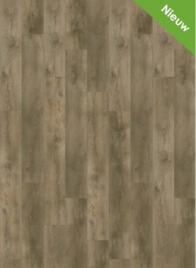 Gelasta - Nevada - 6001 - Valley Oak Pepper - Dryback