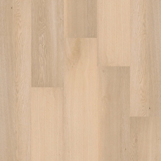 Therdex - Premium Serie - 70010 - Dryback