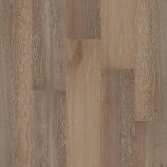 Therdex - Premium Serie - 70050 - Dryback