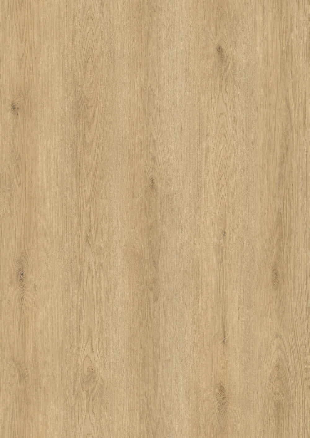 Hoomline - City Plank - Haarlem 7008 - Click