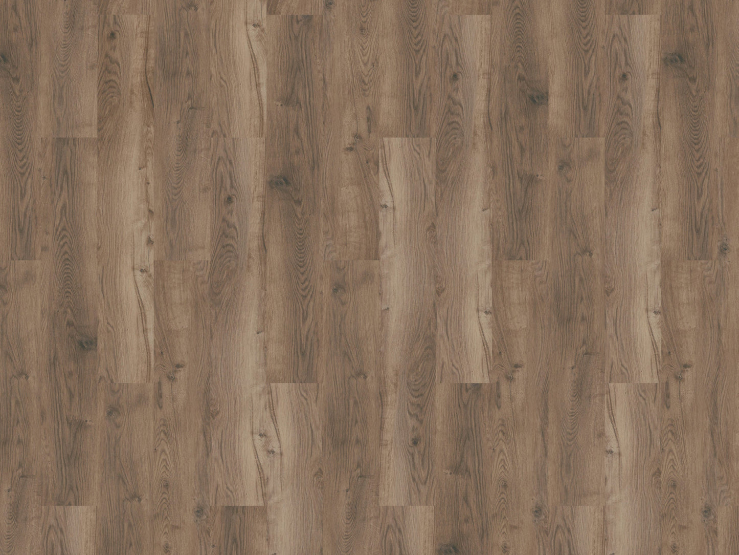 Mflor - Bramster Chestnut - 81601 - Nutmeg - Dryback