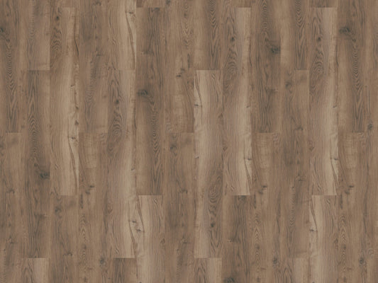 Mflor - Bramster Chestnut - 81601 - Nutmeg - Dryback