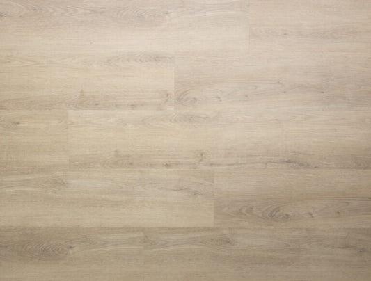 Sense - Serie P - 905 - Dyback