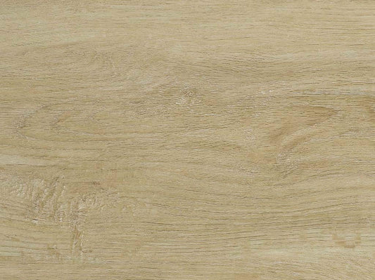 Castell Premium 3 - Dryback