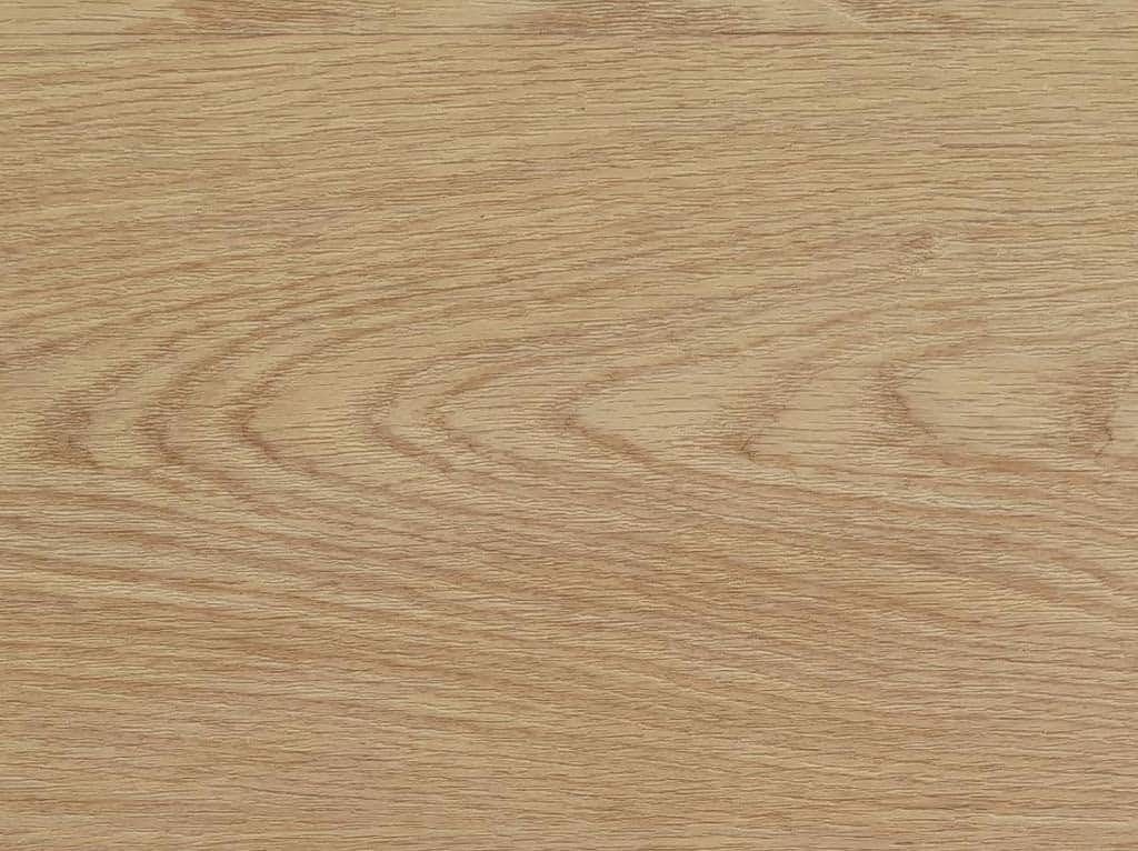 Castell Premium 4 - Dryback