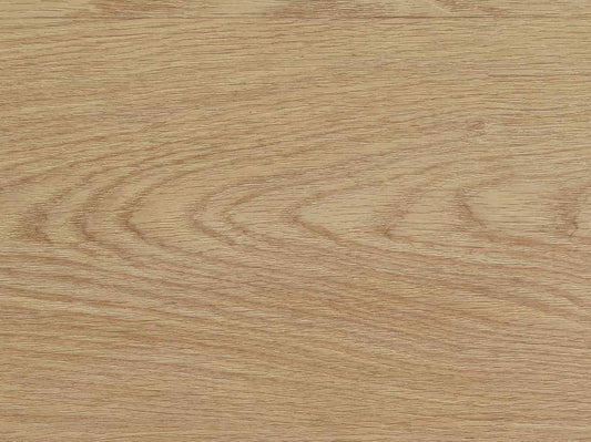 Castell Premium 4 - Dryback