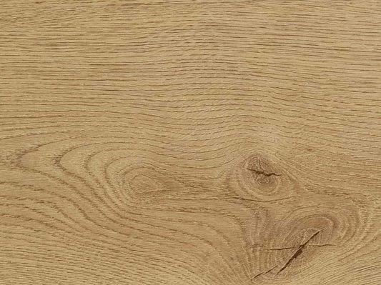 Castell Premium 4 - Dryback