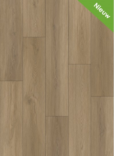 Gelasta - Artline Register - 2301 - Smoked - Extra Mat - Dryback