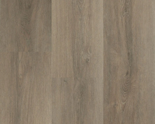 Hebeta - Charente XL - 5461 - Eiken Bruin - Dryback