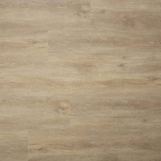 Sense - Serie PP - E55 - Dryback