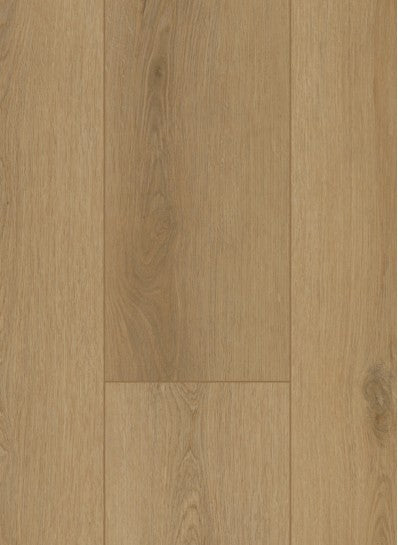 Gelasta - Firmfit - Sierra Naturel - 6502 - Dryback