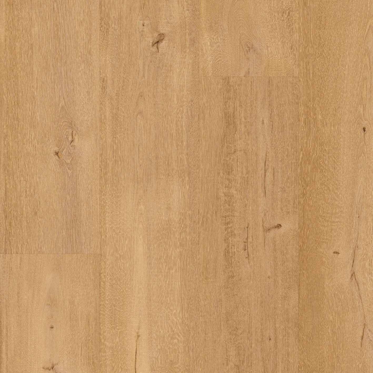 Floorify - Mango XL Plank - F095 - Frangipana - Click