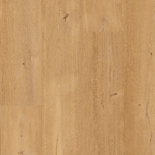 Floorify - Mango XL Plank - F095 - Frangipana - Click