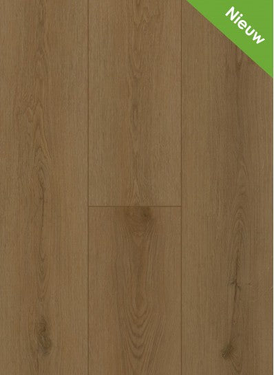 Gelasta - Firmfit - Sierra Brown - 6503 - Dryback