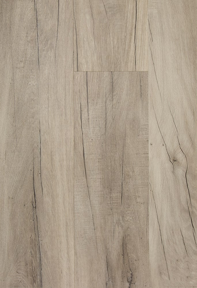 TFD on the Floor - Futura 39-1 - Dryback (uitlopend)