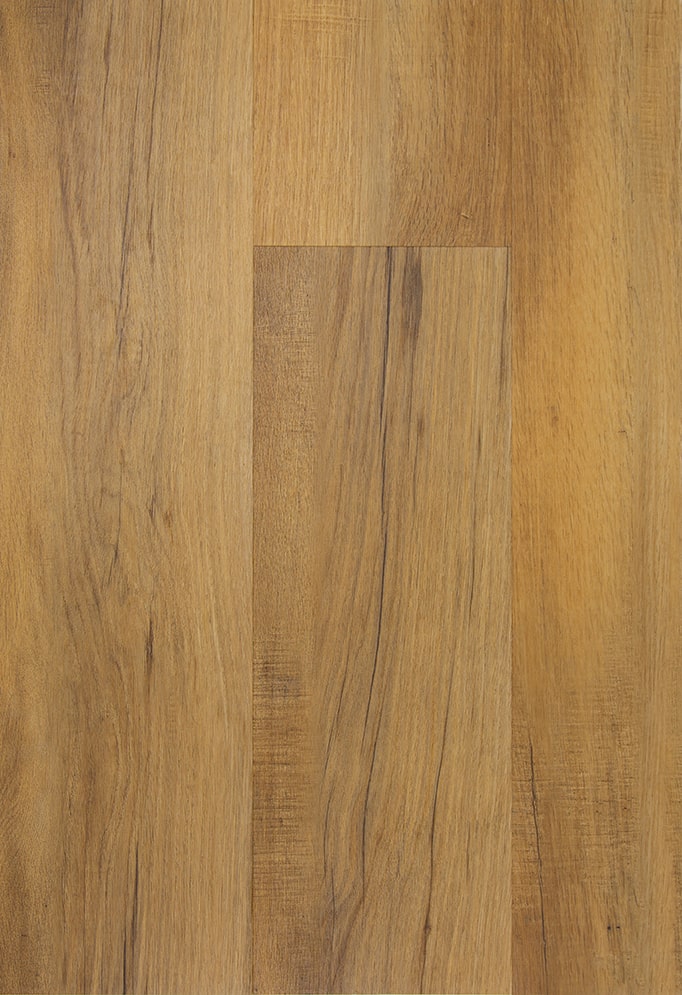 TFD on the Floor - Futura 39-2 - Dryback (uitlopend)