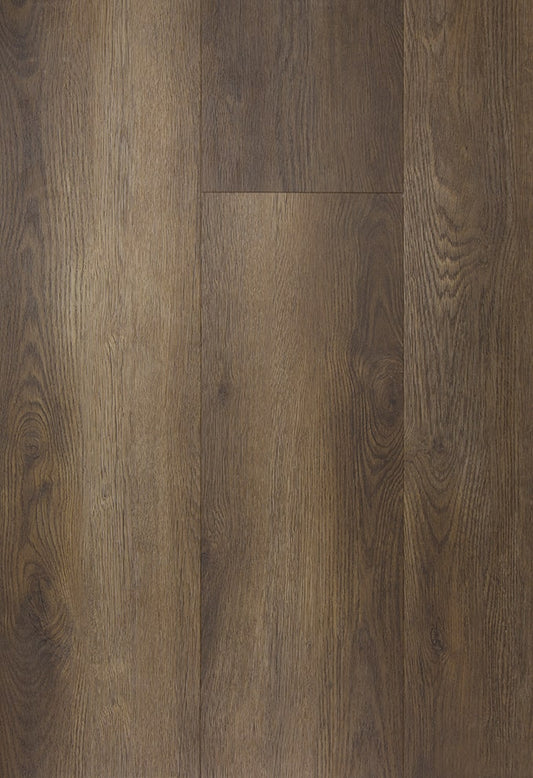 TFD on the Floor - Futura 40-6 - Dryback (uitlopend)