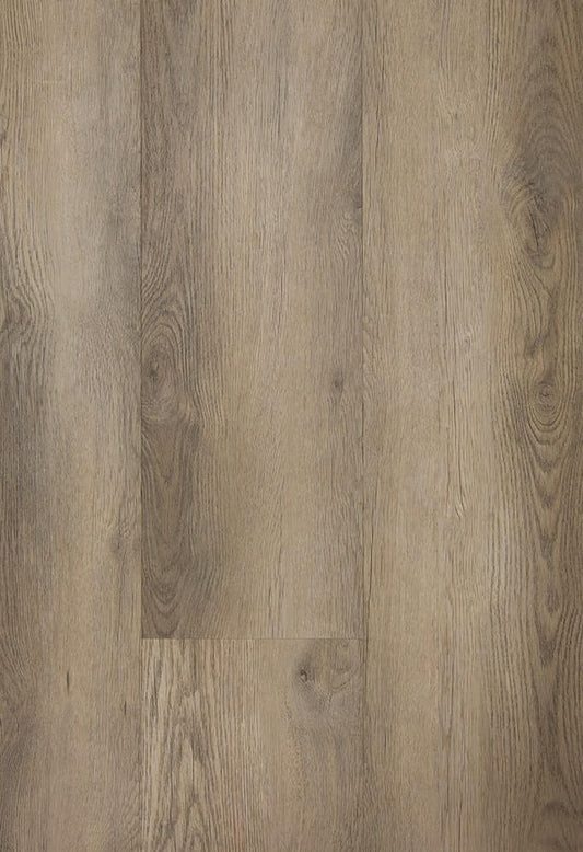 TFD on the Floor - Futura 40-8 - Dryback (uitlopend)