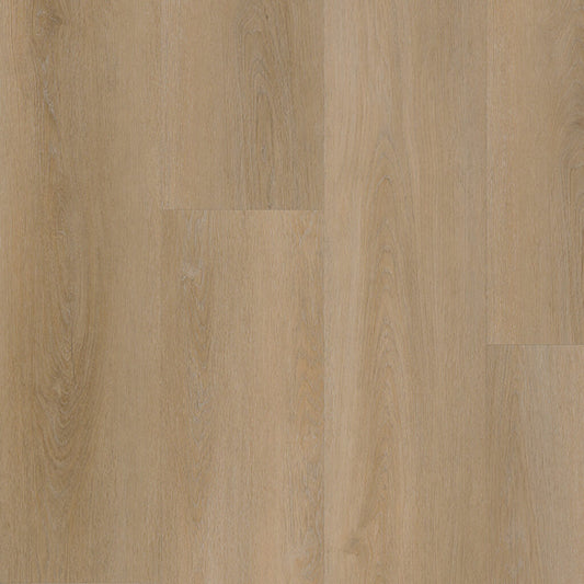 Belakos - 810 - Attico - 2157 - Dryback