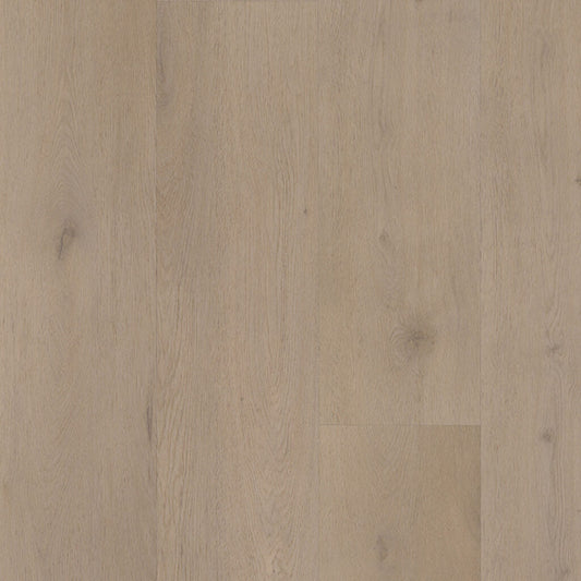 Belakos - 830 - Attico - 2157 - Dryback