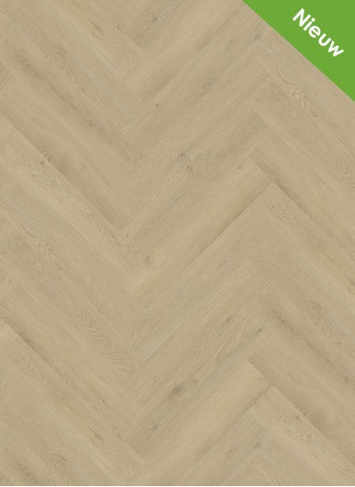 Gelasta - Mystiq - Visgraat - 1902 - Natural Light - Dryback