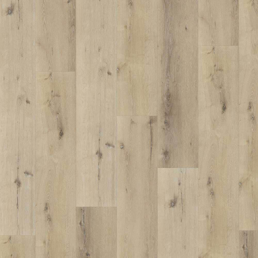 Belakos - 150 - Palazzo - 2156 - Dryback