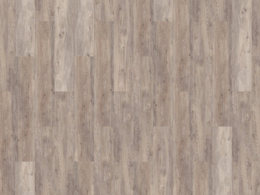 Mflor - Reservoir Oak - 72138 - Broad Fen - Dryback
