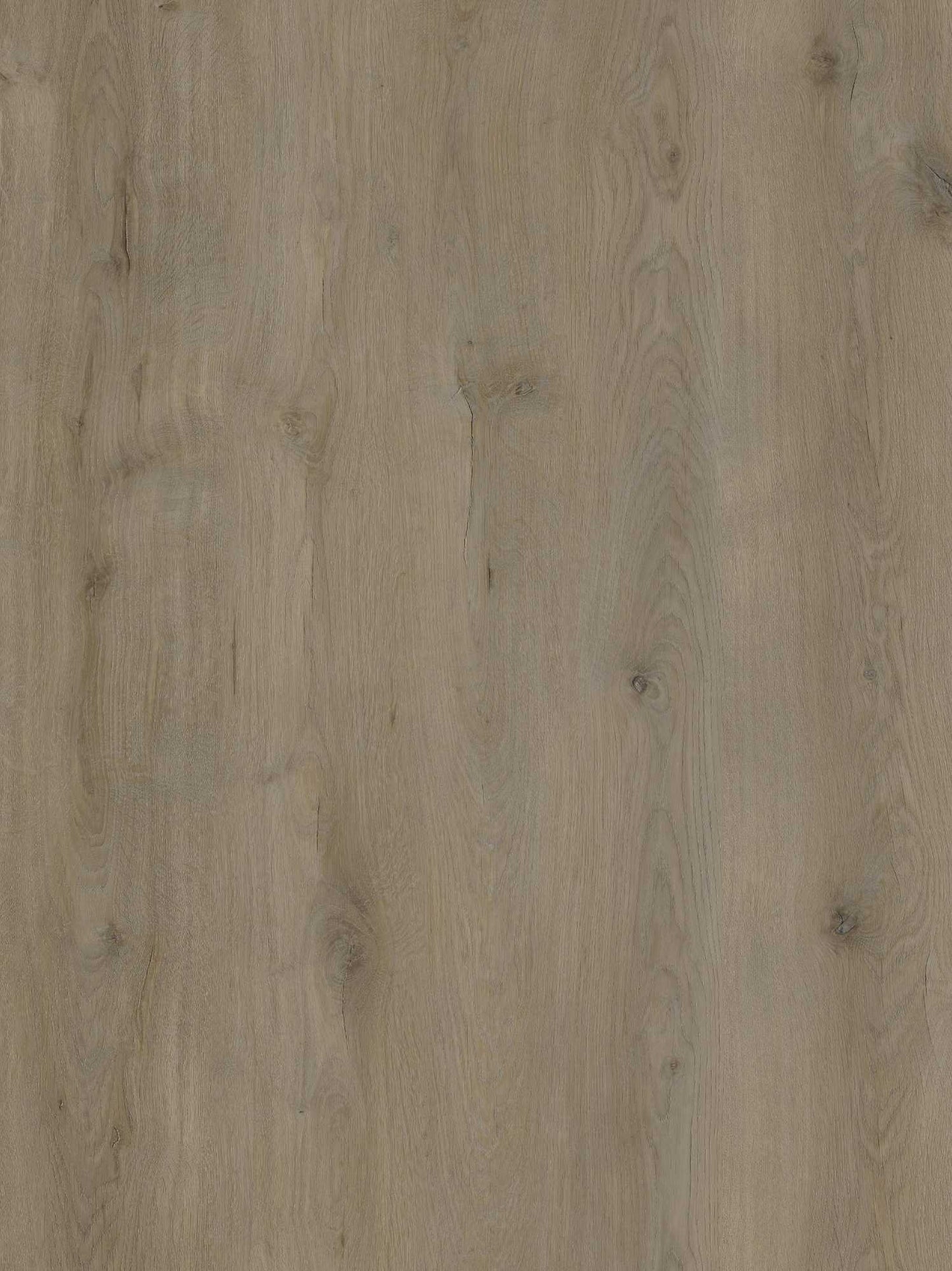 EKOFloors - Excellent Dryback - Vogezen