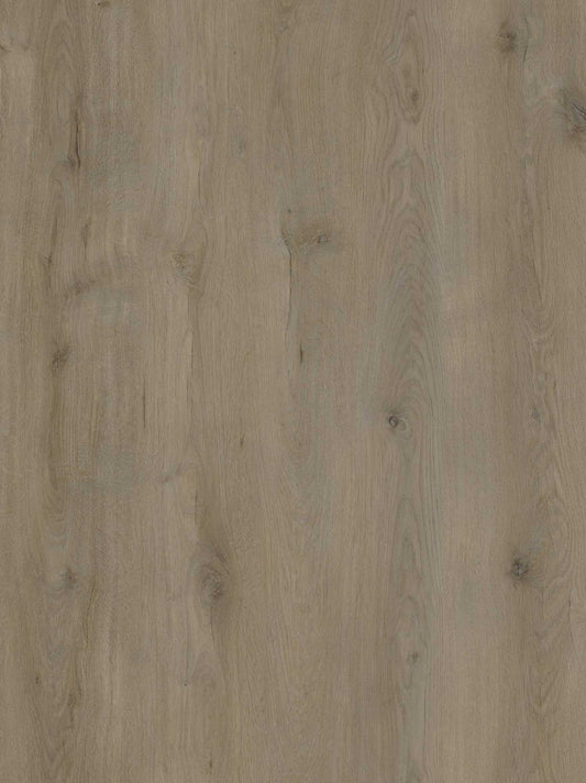 EKOFloors - Excellent Dryback - Vogezen