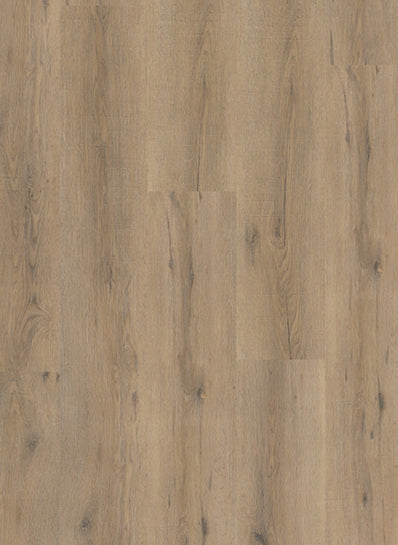 Gelasta - City - 4600 - Smoked Oak Light - Dryback